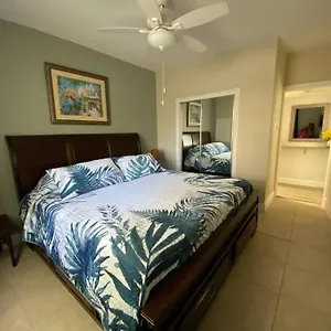  Apartment Beautiful In Tampa-a United States